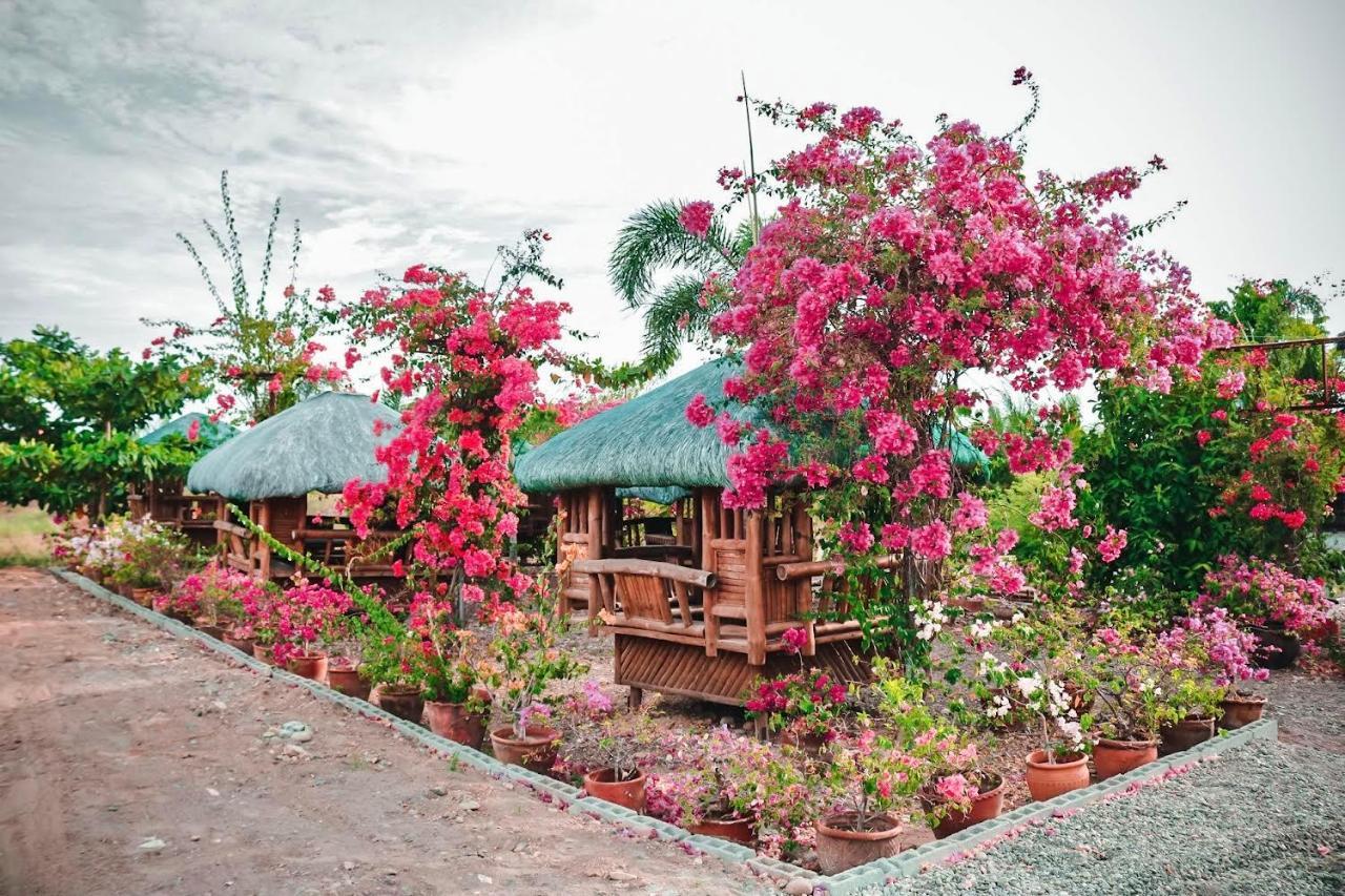 Airport View Hotel Vigan Kültér fotó